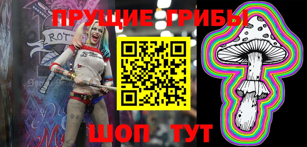 Псилоцибиновые грибы мицелий Благовещенск